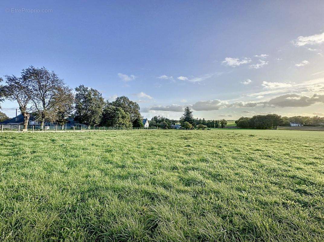 Maison à LA CHAPELLE-DE-BRAIN