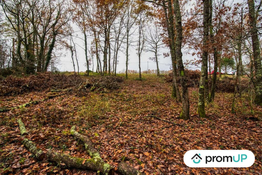 Terrain à VILLEMUR-SUR-TARN