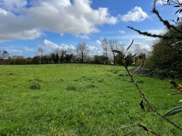Maison à LE CLOITRE-PLEYBEN