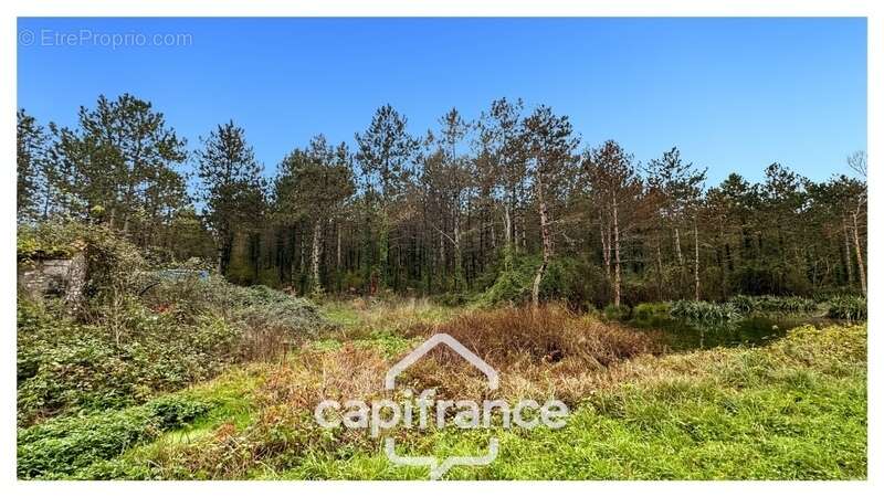 Maison à MONFLANQUIN