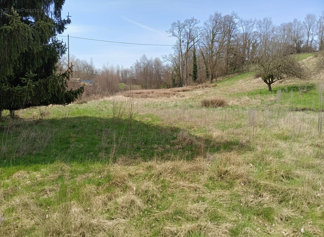 Terrain à NIVOLAS-VERMELLE