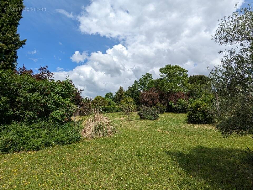 Terrain à ANGOULEME