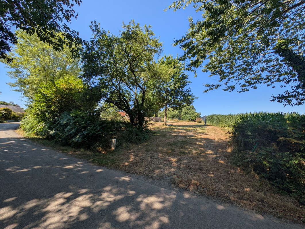 Terrain à PONT-SCORFF