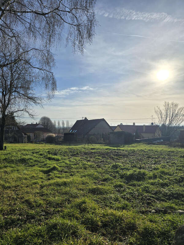 Terrain à ESCHENTZWILLER