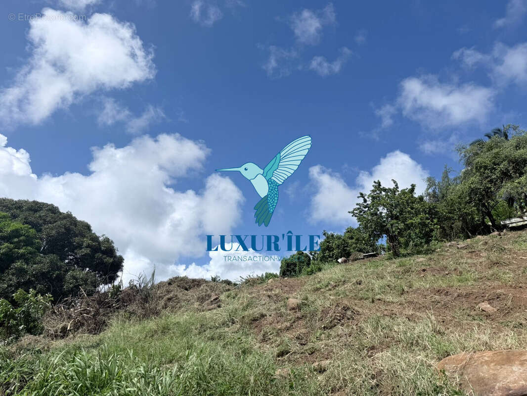 Terrain à LE FRANCOIS