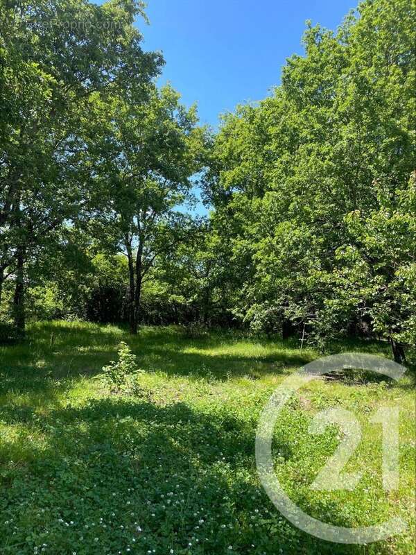 Terrain à MONTAUBAN