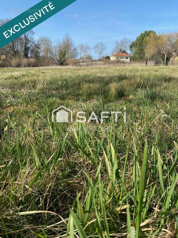 Photo 1 - Terrain à SEPTFONDS