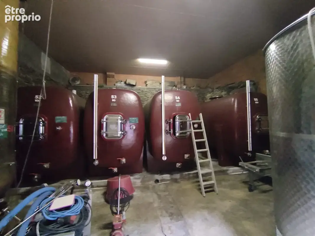 Domaine viticole historique   minervois - photo 7