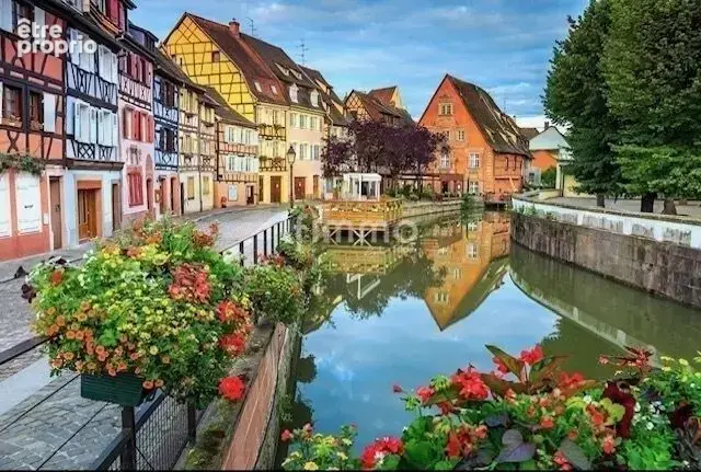 Colmar rare à vendre magasin emplacement de choix ! - photo 4