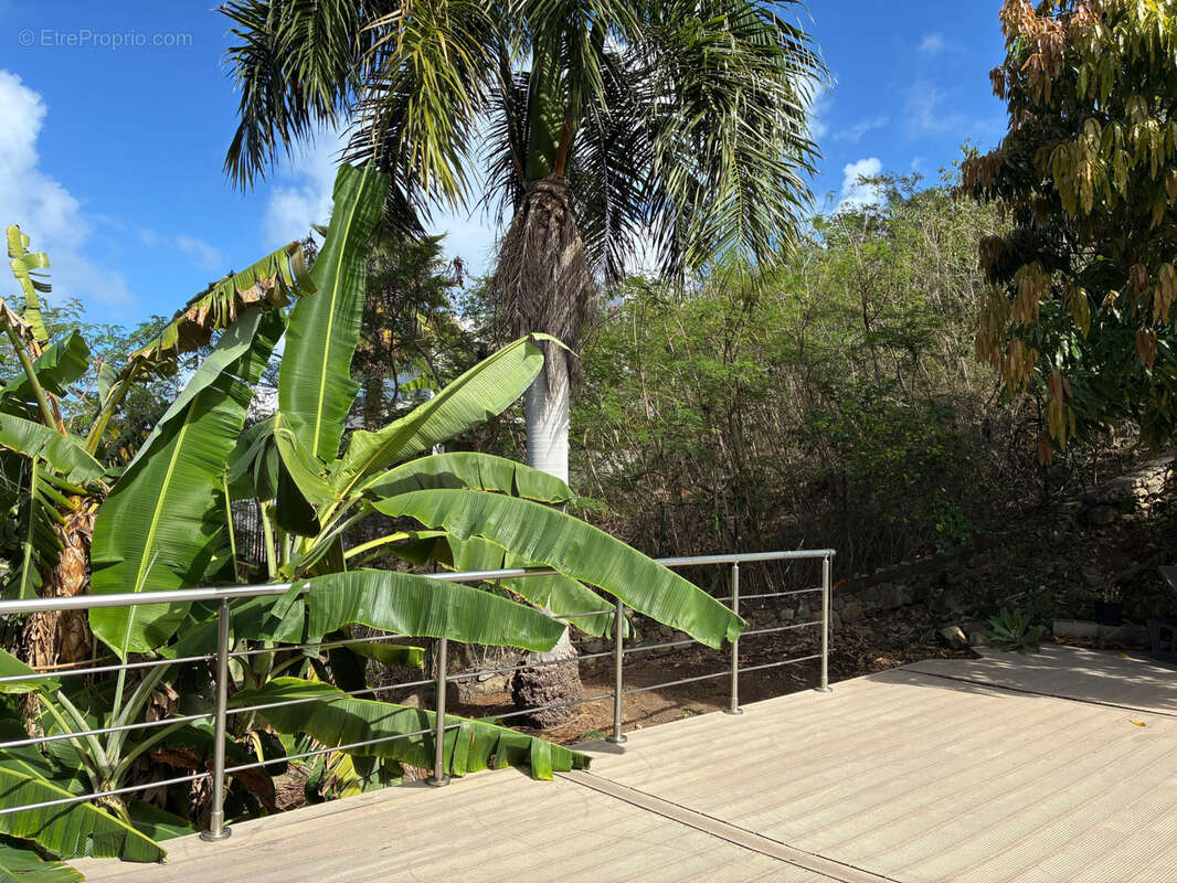 Maison à SAINT-MARTIN