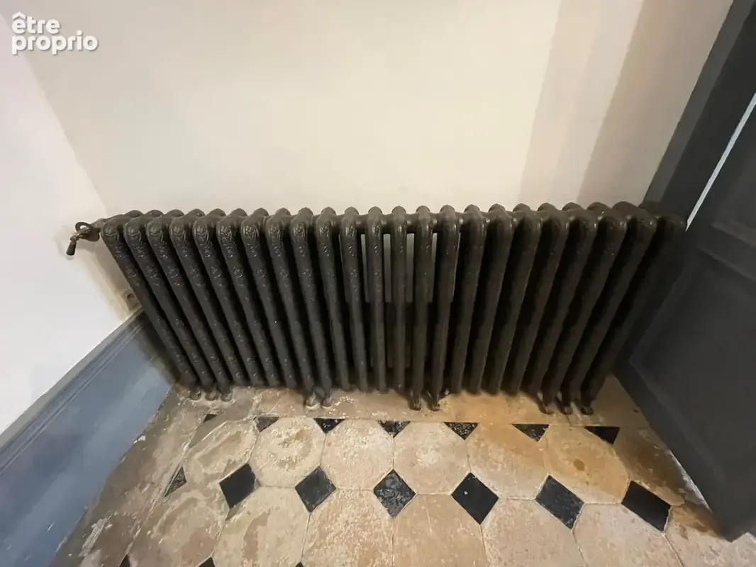 Maison de Maitre à vendre 9 pièces CHATEAU RENAULT (37) - photo 7