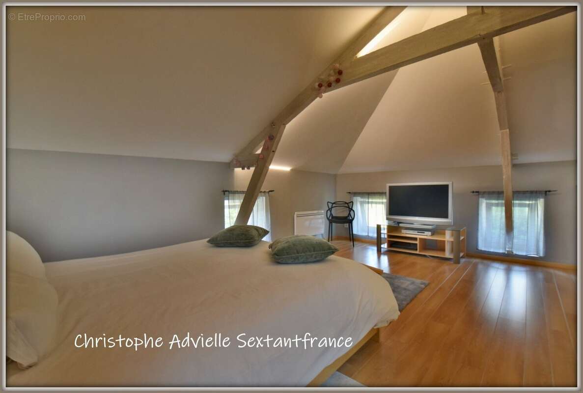 Ensemble immobilier, maison d'habitation, local commercial et gîtes sur 9127 M2 - photo 6