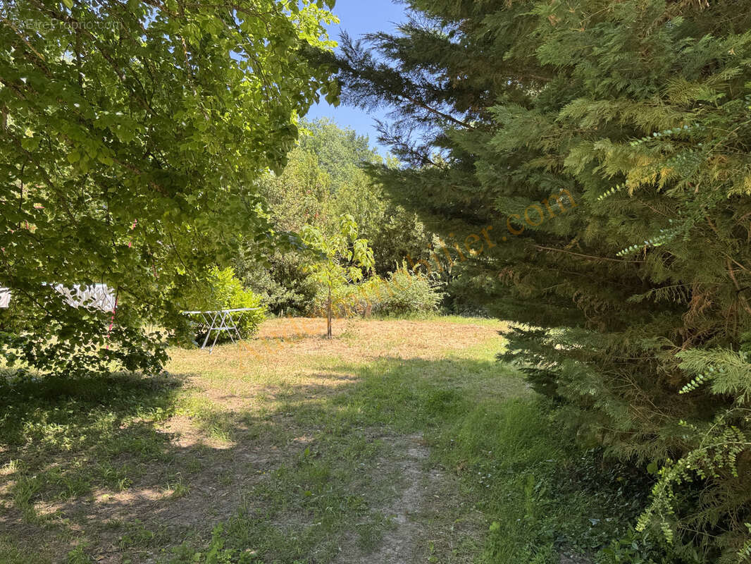 Maison avec jardin de 3500m2 environ - photo 5
