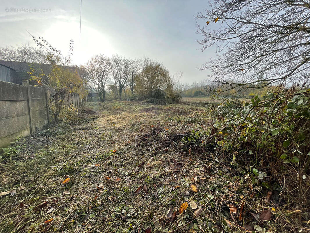 Terrain à BRUAY-LA-BUISSIERE