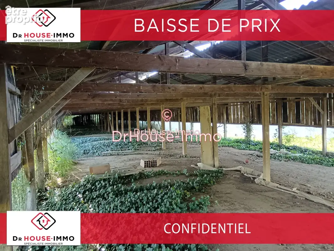 Terrain 6 000 m² à vendre à Le Temple-Sur-Lot (47110) - photo 24