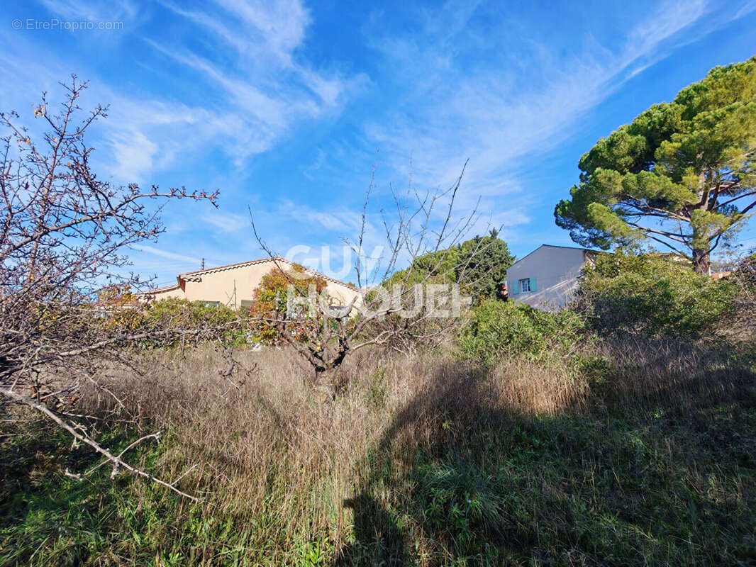 Terrain à CARPENTRAS