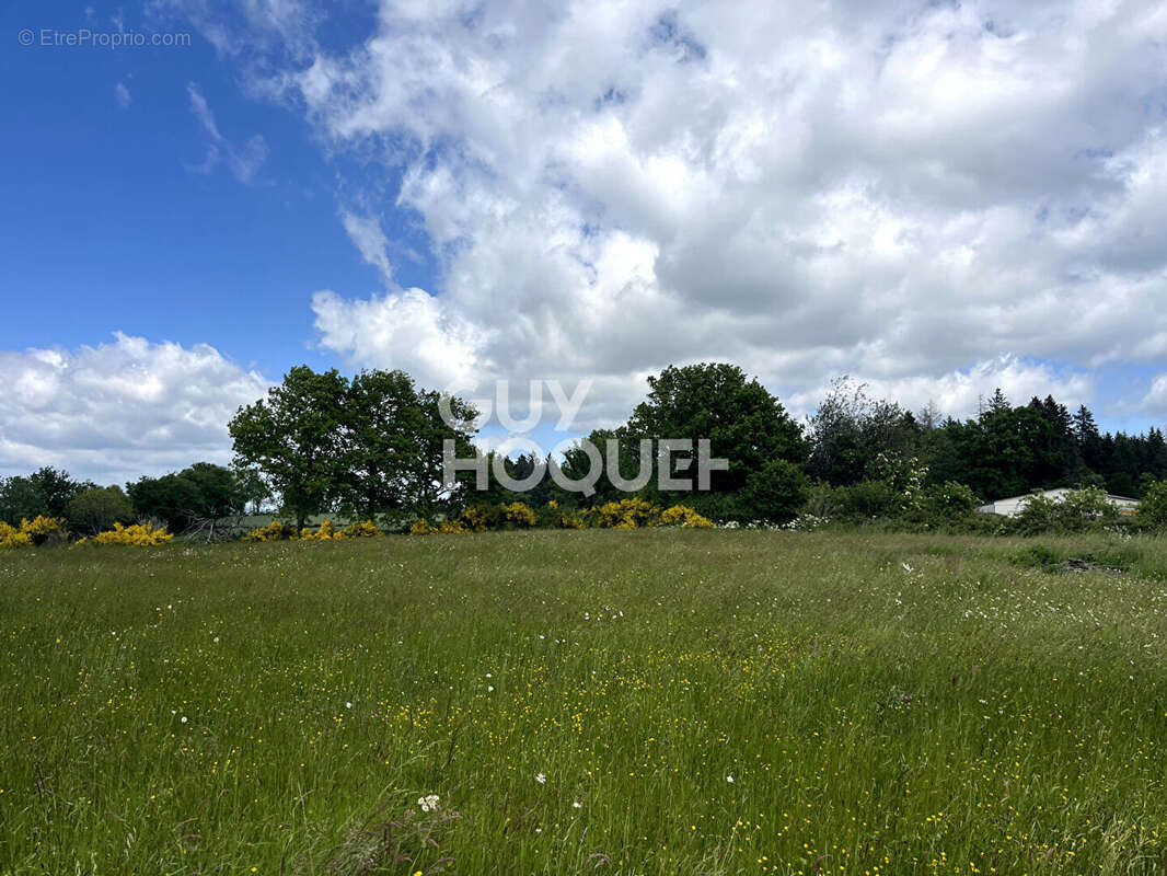 Maison à SAINT-PRIEST-DES-CHAMPS