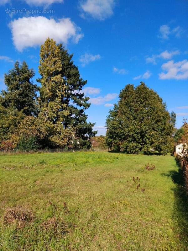 Terrain à SAINT-LAURENT-NOUAN