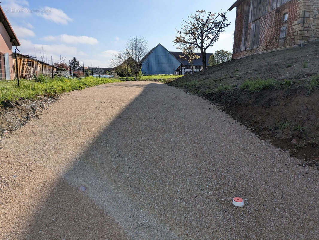 Terrain à HELFRANTZKIRCH