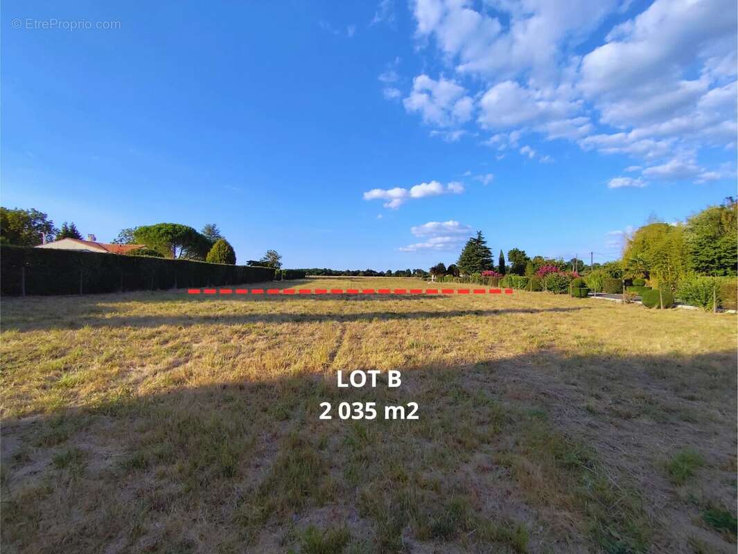 Terrain à SAINT-GEORGES-ANTIGNAC