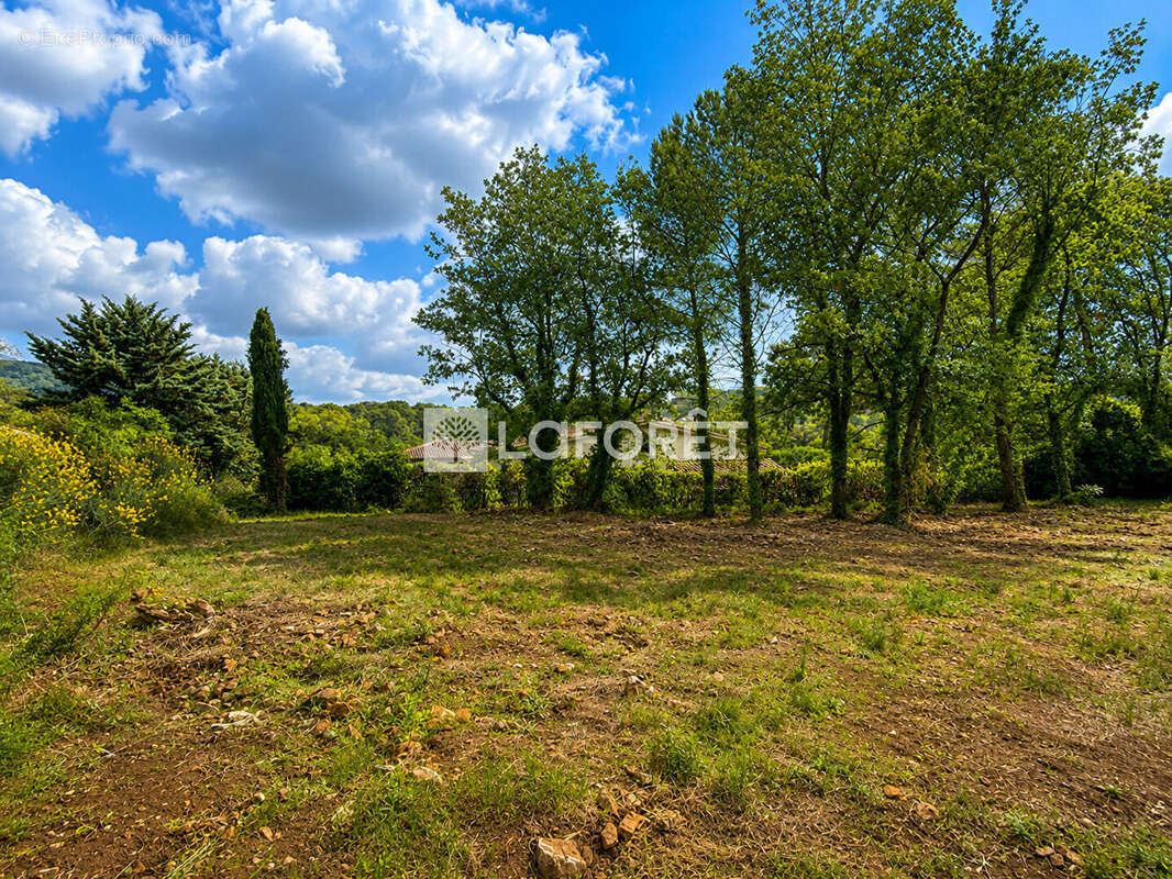 Terrain à SAINT-PAUL