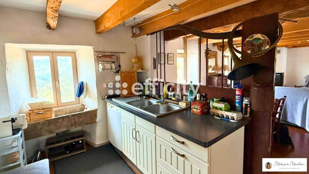 Maison 5 pièces 106 m² à vendre à Issamoulenc (07190) - photo 4