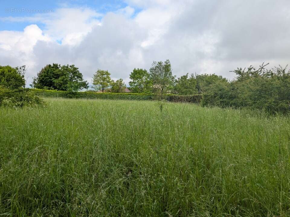 Terrain à ANSE