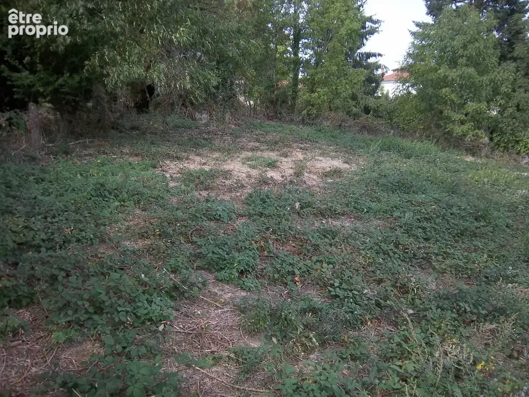 Terrain 1 514 m² à vendre à Fayet-Le-Chateau (63160) - photo 4