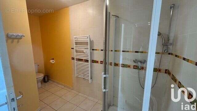 Photo 7 - Maison à CHATEAUNEUF-DU-FAOU