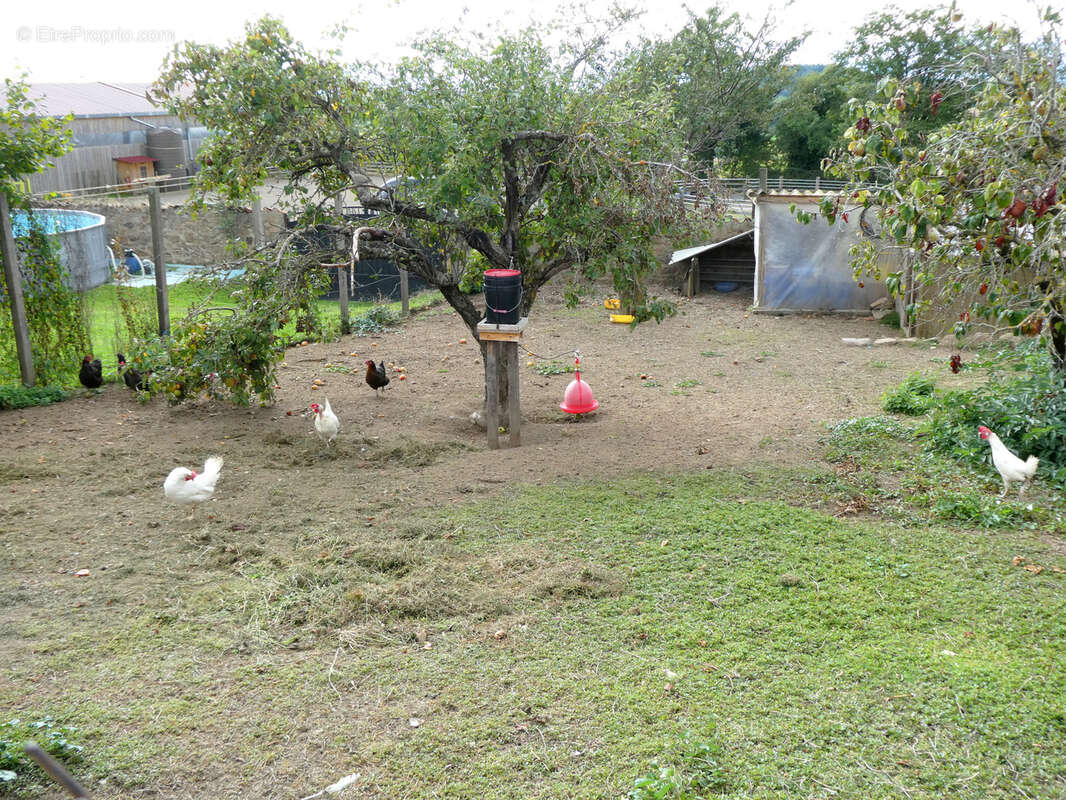 Maison à SAINT-LAURENT-DE-CHAMOUSSET