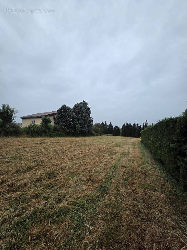 Terrain à SEYSSUEL