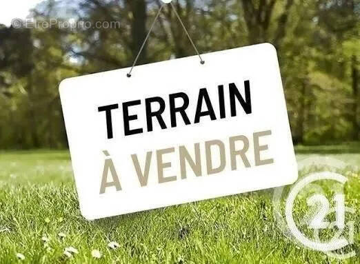 Terrain à LAMBALLE
