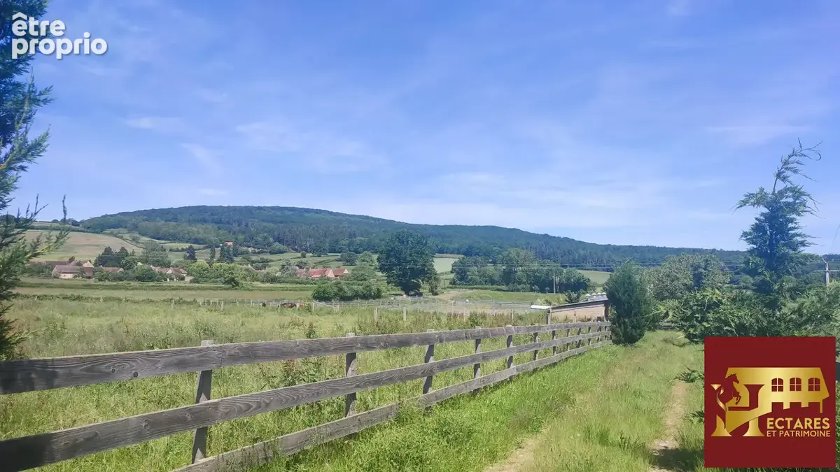 Propriété équestre 2,6 hectares - photo 15