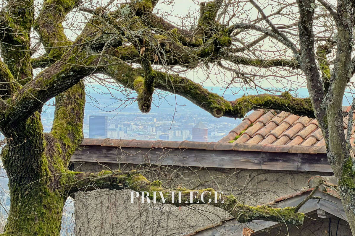 Maison à SAINT-CYR-AU-MONT-D'OR