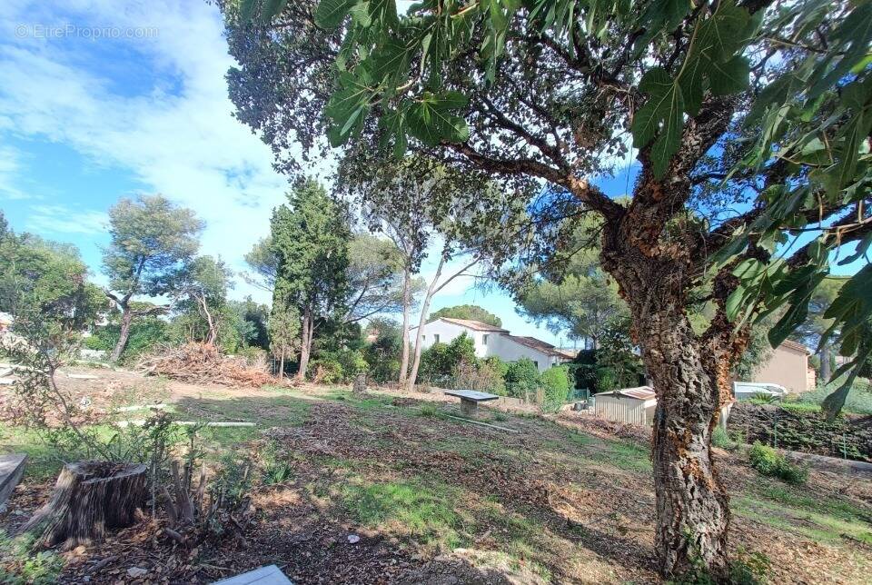 Terrain à FREJUS