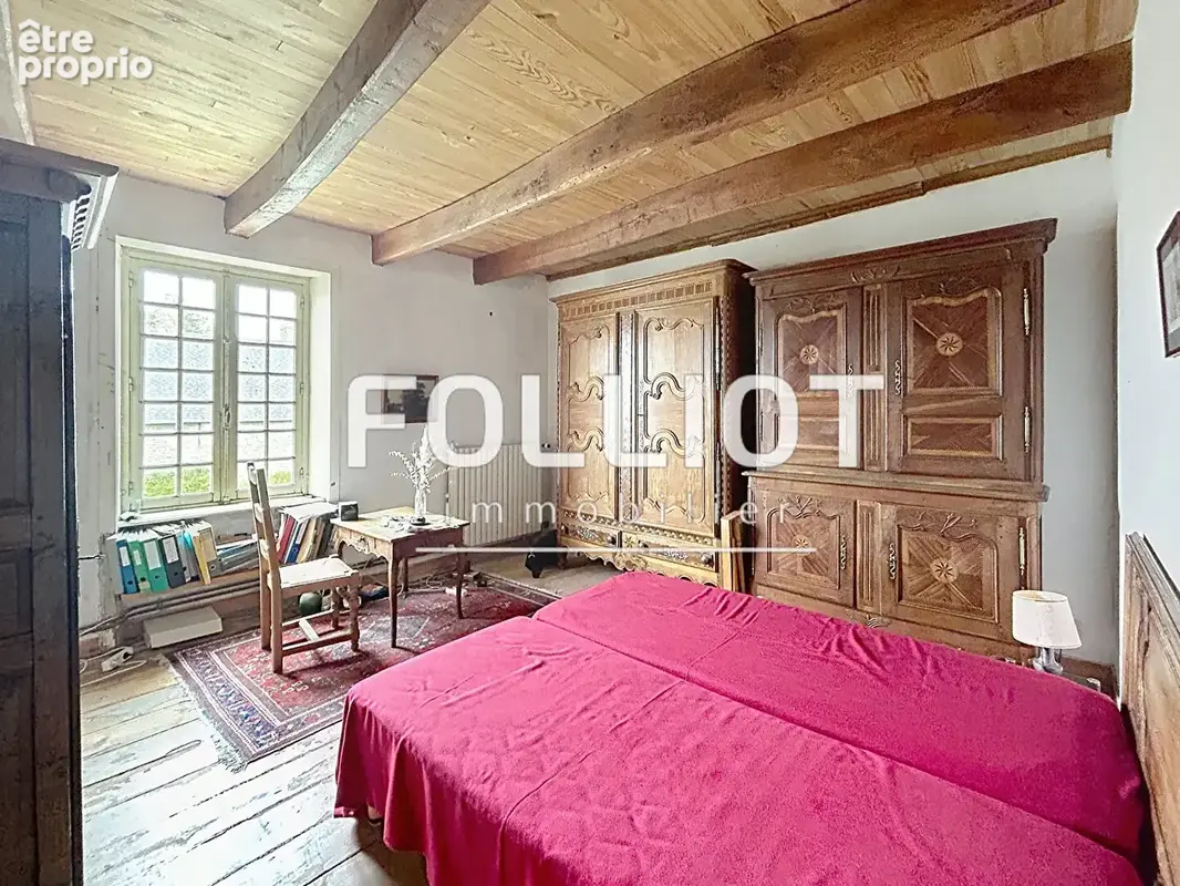 Vente maison de maitre sur terrain de 4521m² - photo 9