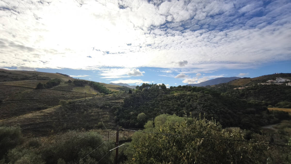 Maison à BANYULS-SUR-MER