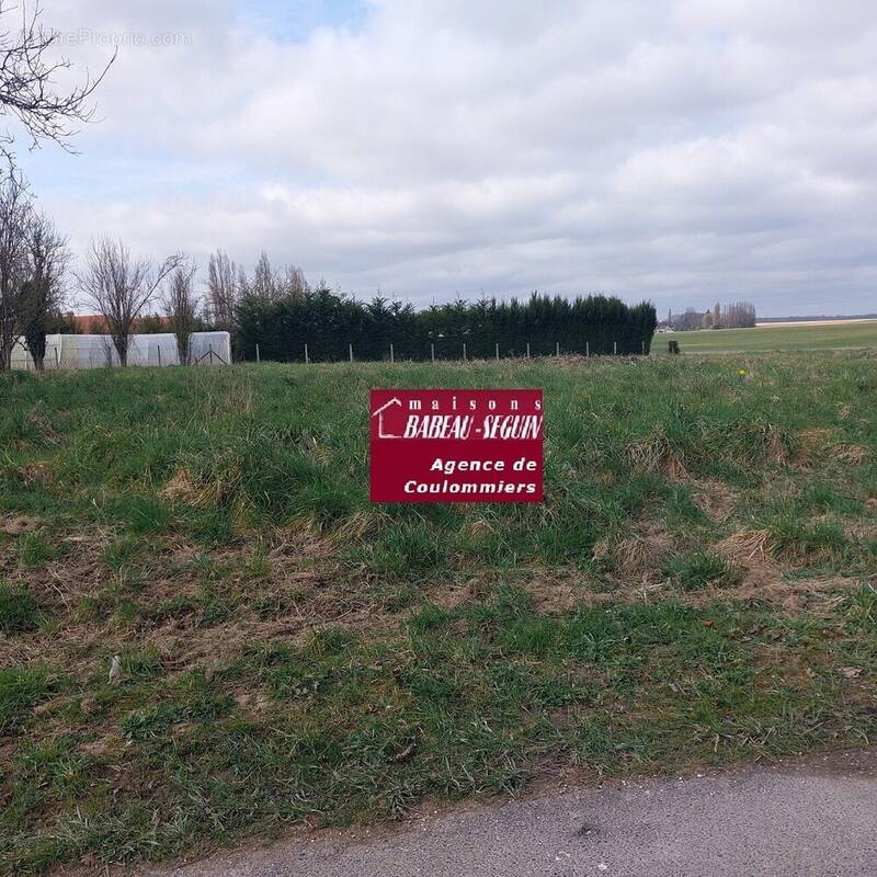Terrain à CHOISY-EN-BRIE