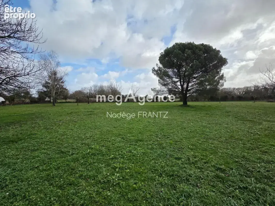 Essouvert (17400) – propriété de caractère avec deux maisons indépendantes, dépendances et terrain de 5 000 m² - photo 19