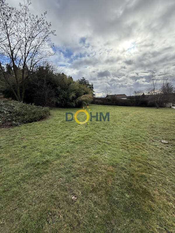 Terrain à SAINT-PAL-DE-MONS