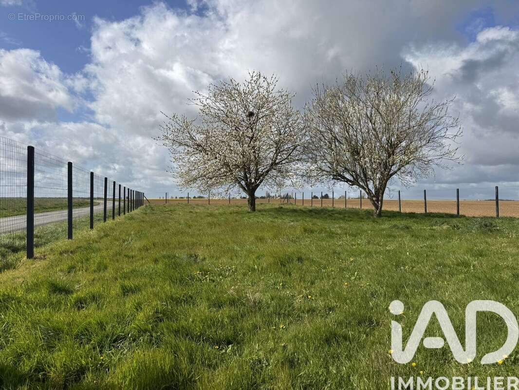 Maison 58 m² à Frunce  - photo 6