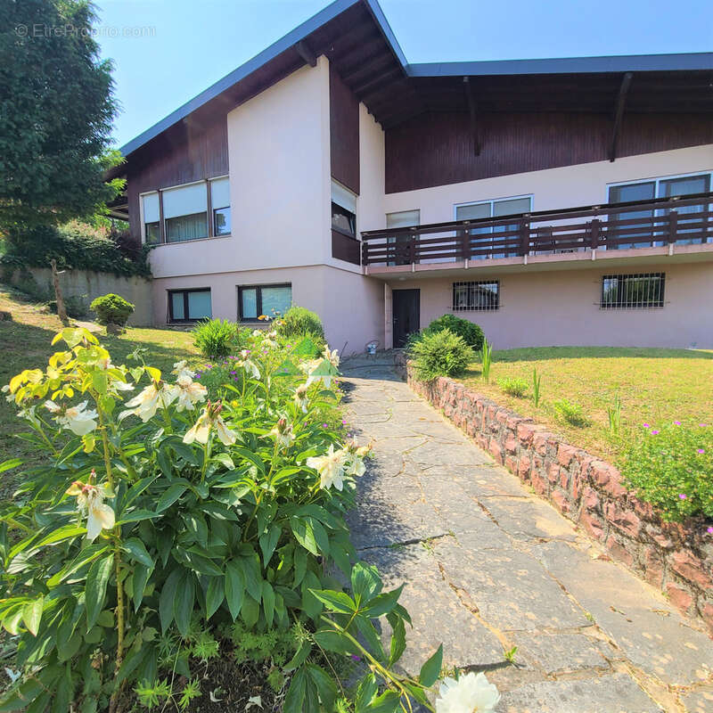 Maison à HEGENHEIM