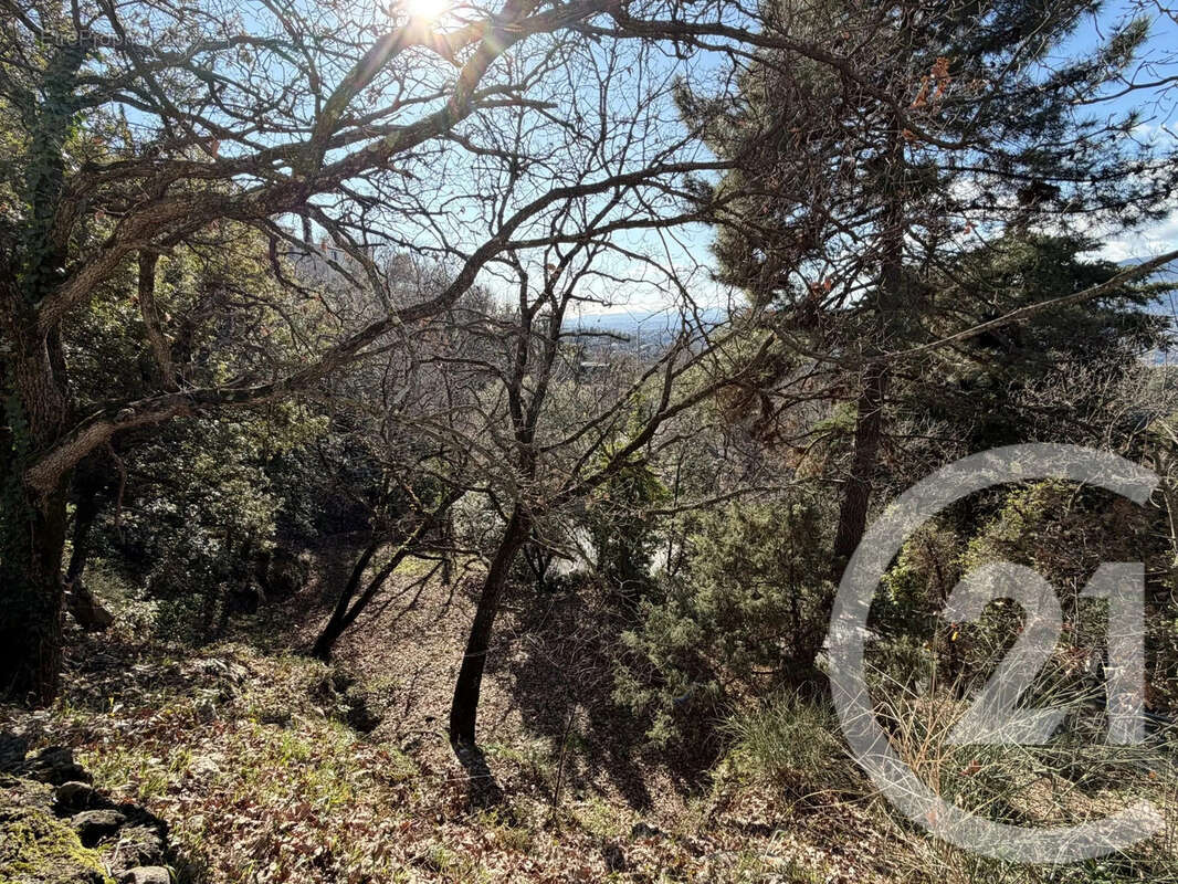 Terrain à ASPREMONT