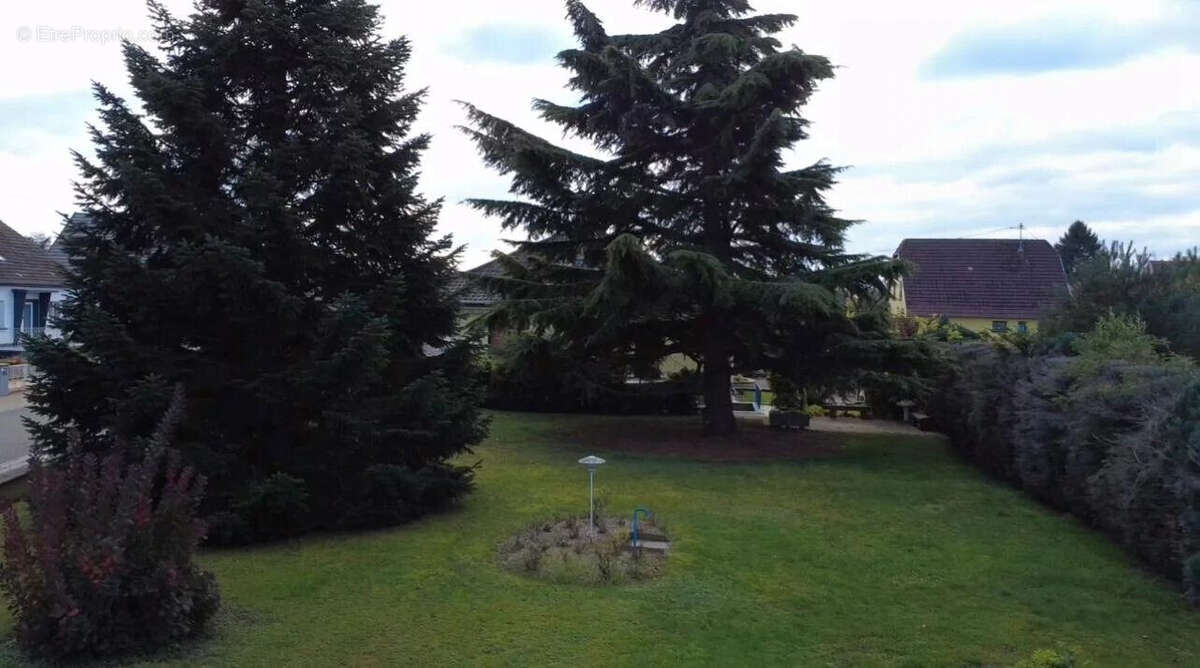Terrain 375 m² à Weitbruch  - photo 5