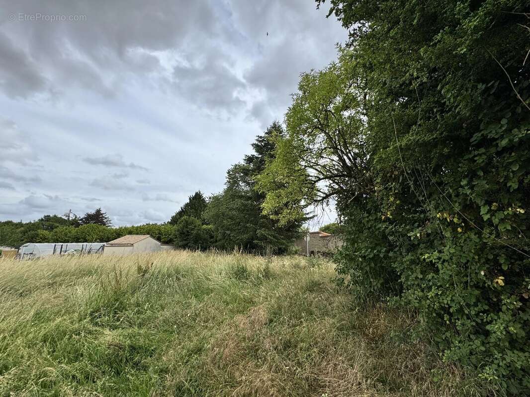 Grand terrain au centre du village - photo 3