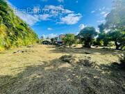 Terrain à LE VAUCLIN