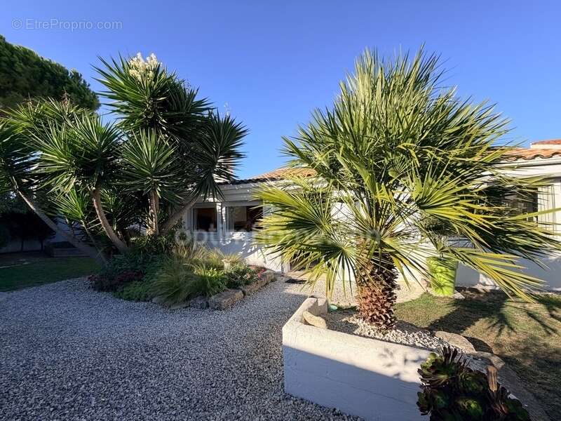 Maison à SAINT-MARTIN-DE-RE