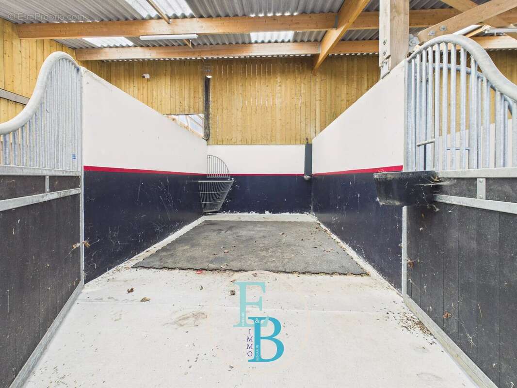 Grangues (pays d'auge) - centre d'entrainement et de reeducation equin avec balneotherapie - photo 8