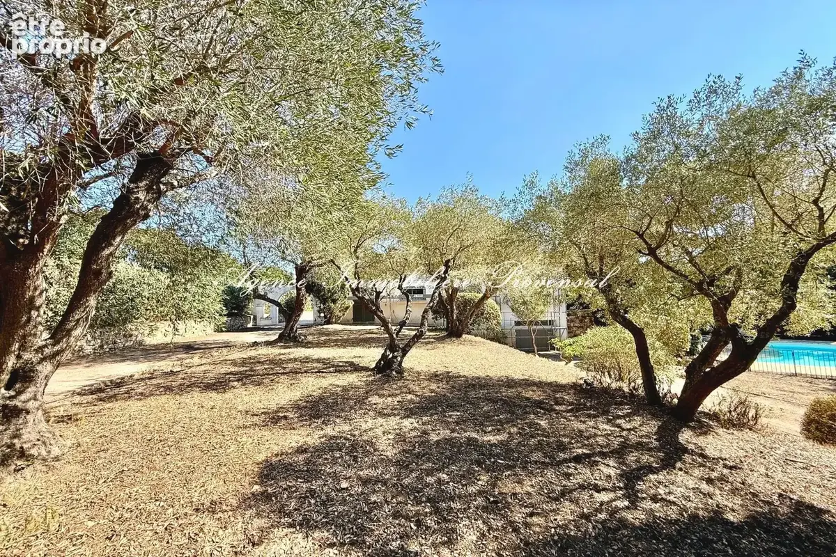 Maison 9 pièces 250 m² à vendre à Grimaud (83310) - photo 8