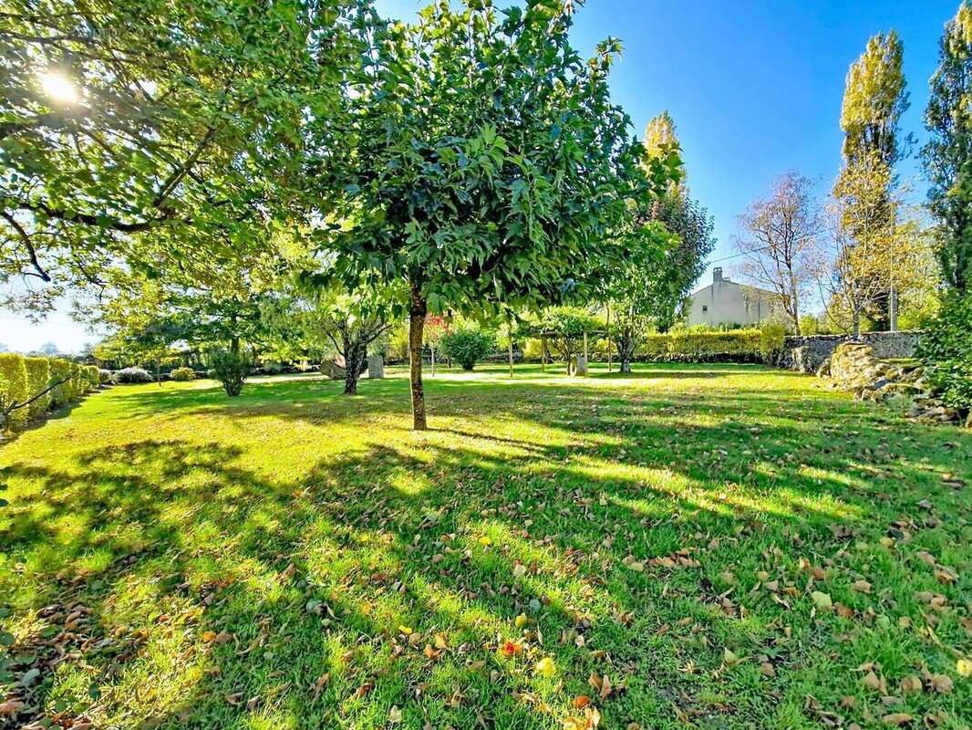 Photo 8 - Maison à AZAY-LE-BRULE